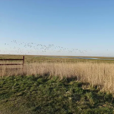 C11583-hemmet-husfold-8 Hemmet